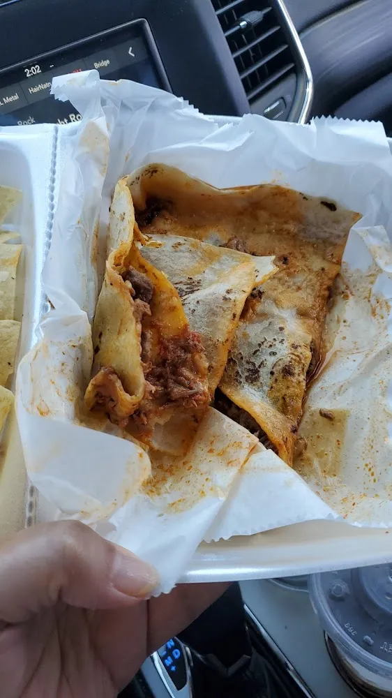 Quesadilla with Meat